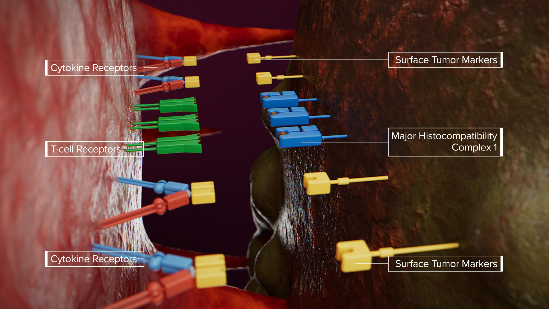 Deka Biosciences 3D design artwork